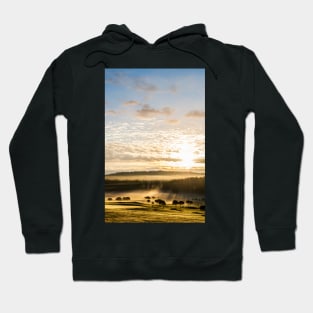 Morning Sun Hoodie